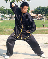 陈宏伟師父演示阵式太极拳老架一路 Master Chan Hong Wai demonstrating Chenshi Taijiquan Old Frame Lao Jia Yi Lu